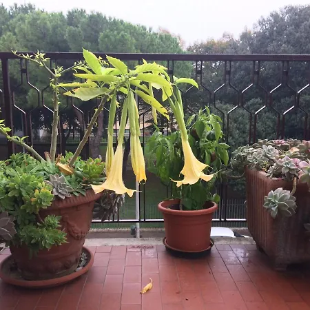 Pergolesi Bed & Breakfast Verona