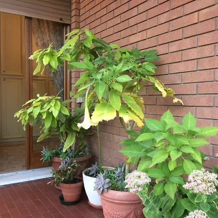 Bed & Breakfast Pergolesi Verona