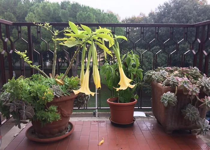 Pergolesi Bed & Breakfast Verona