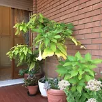 Bed and breakfast Pergolesi Verona