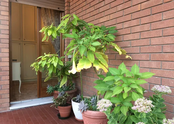 Bed & Breakfast Pergolesi Verona