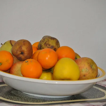 Bed and Breakfast Pergolesi
